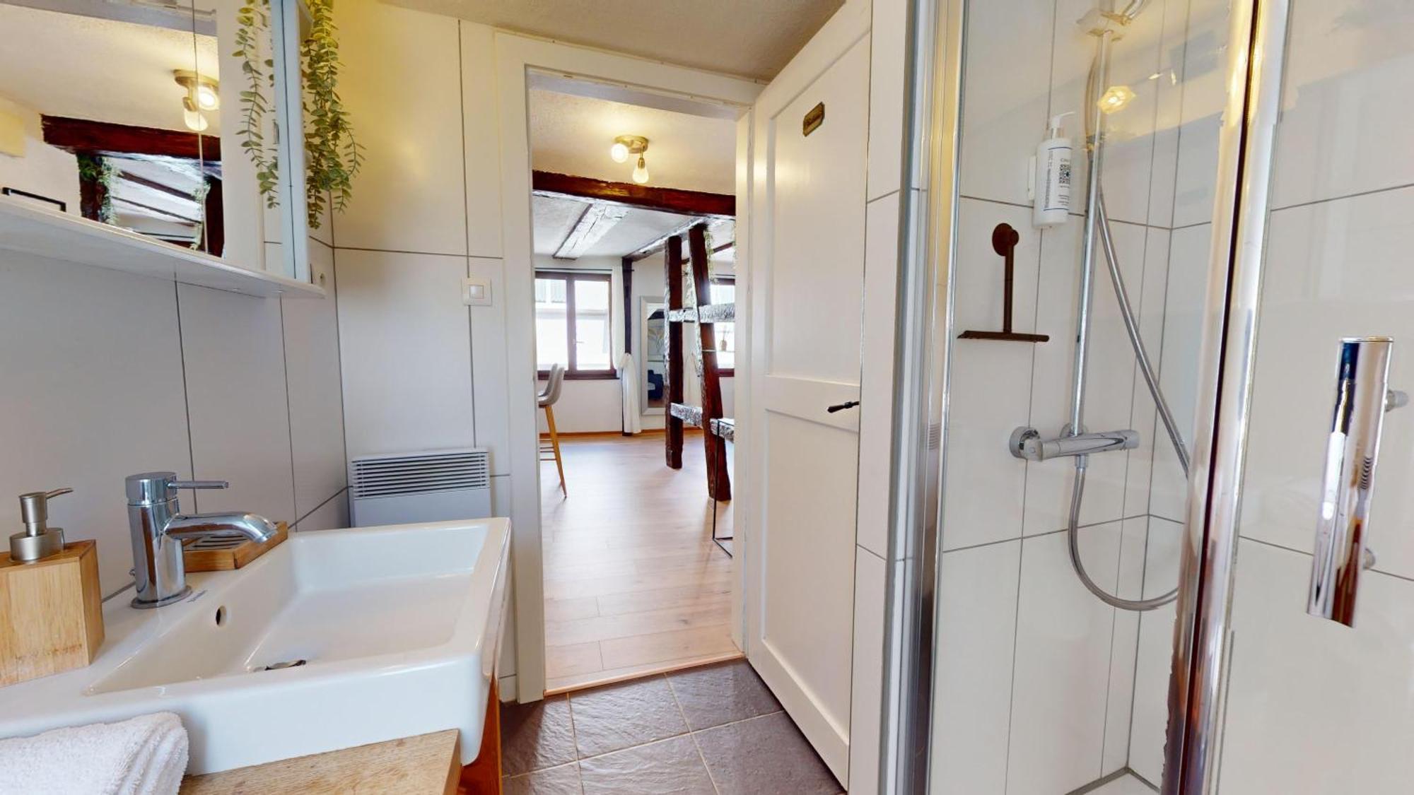 Au Petit Vauban 2 Chambres & Parking Colmar Luaran gambar