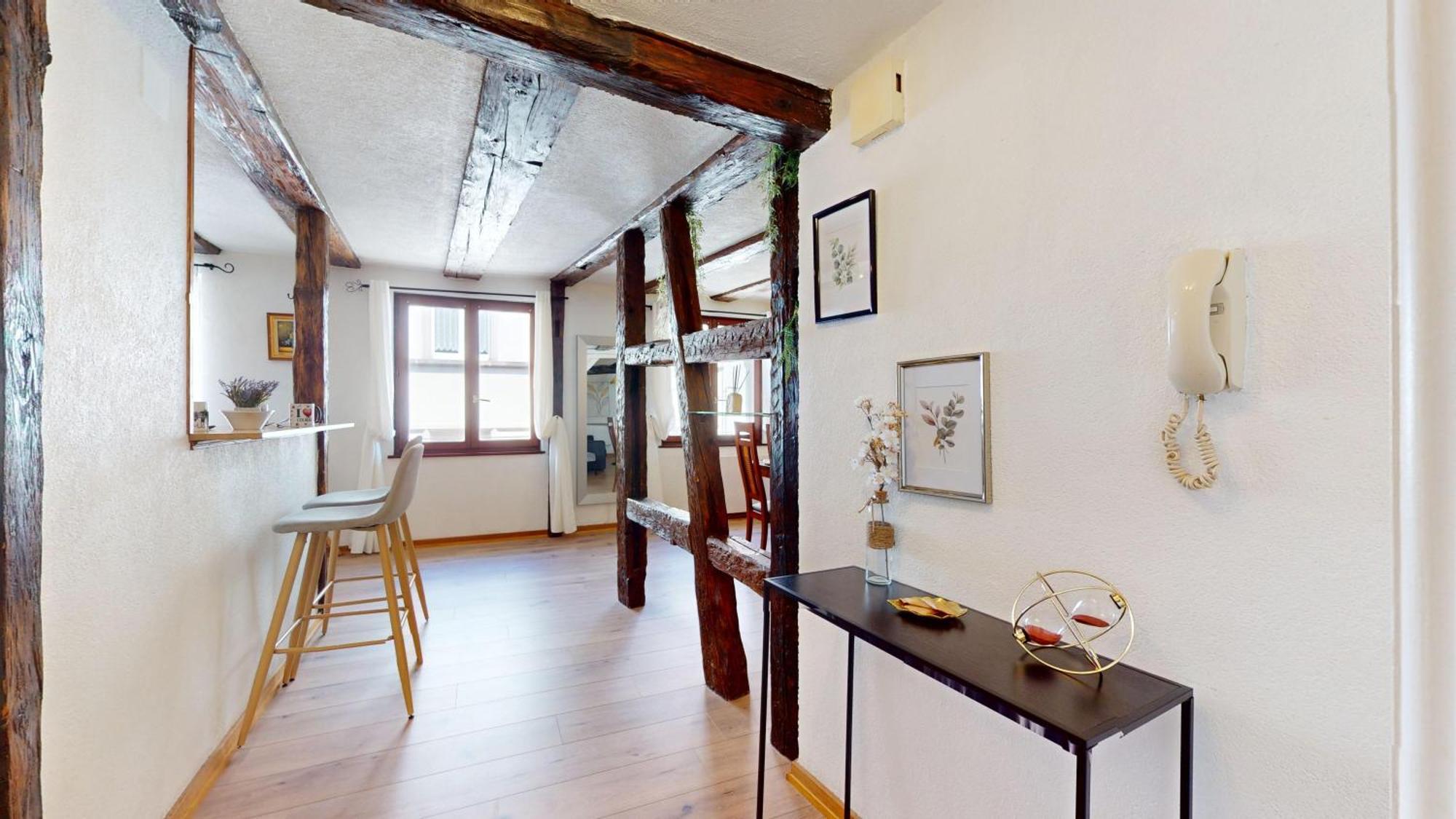Au Petit Vauban 2 Chambres & Parking Colmar Luaran gambar